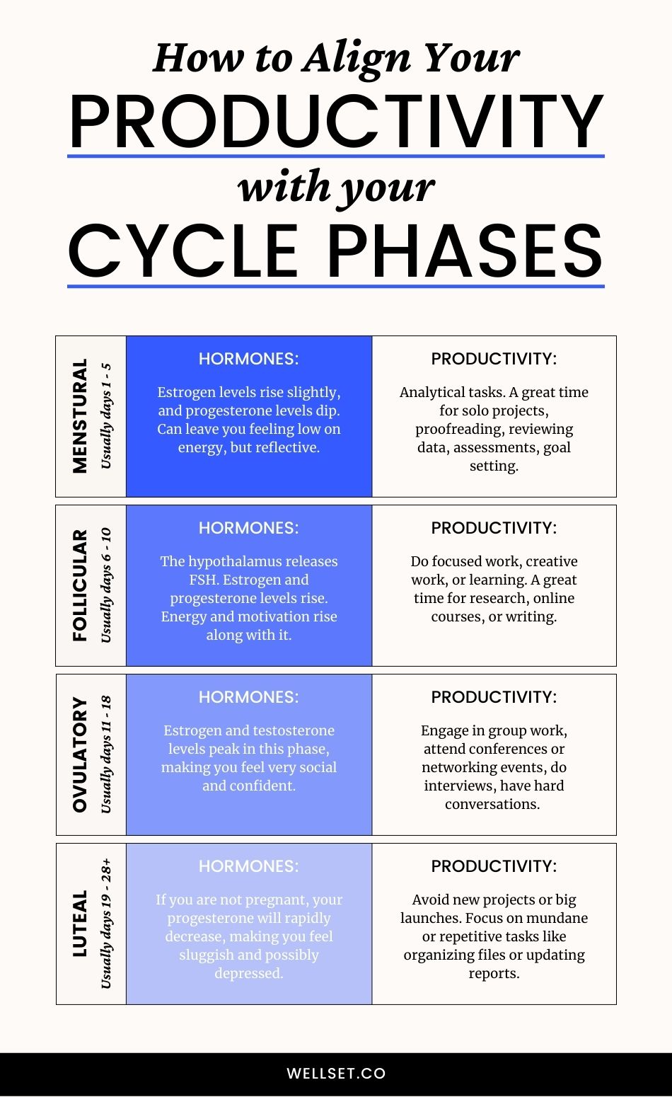 Productivity Tips for Each Phase of Your Menstrual Cycle