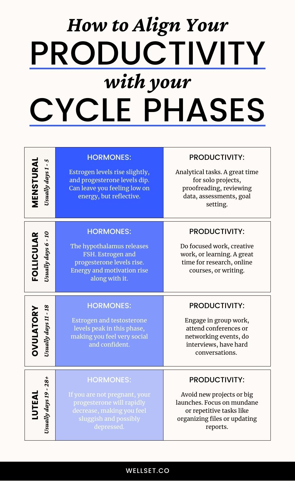 Understanding Your Menstrual Cycle: Phases and Hormones