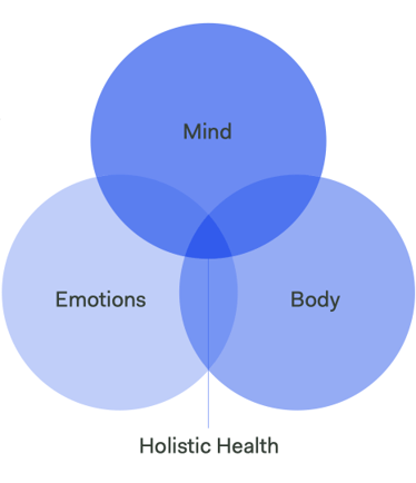 Holistic health